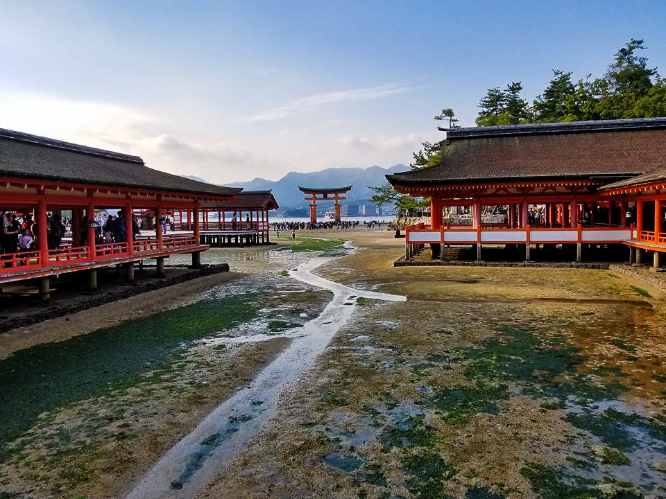 Itsukushima Shrine at low tide